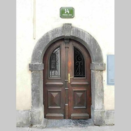 Апартаменти Old Town 14 Любляна Екстер'єр фото